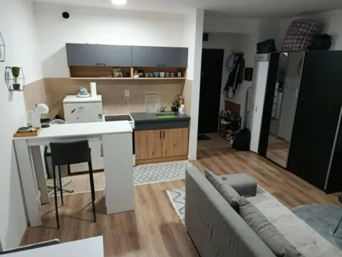 Sale, one bedroom apartment, 29m², Adice, Novi Sad Sve Podlokacije - image 5