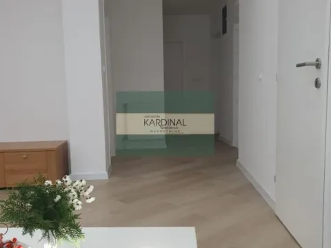 Prodaja, kuća, 255m², Petrovaradin, Novi Sad - image 16