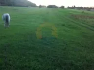 Sale, house, 54m², Grahovo, Nikšić - image 6