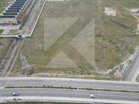 Prodaja, plac, 9200m², Dajbabe, Podgorica - image 5