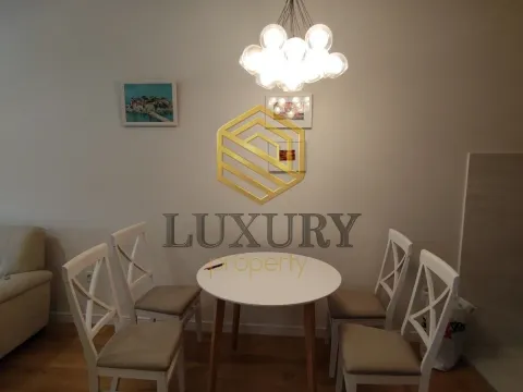 Rent, one bedroom apartment, 49m², Central Point, Podgorica - image 8