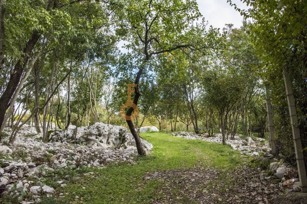 Prodaja, plac, 36246m², Danilovgrad, Crna Gora