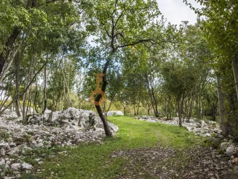 Prodaja, plac, 36246m², Danilovgrad, Crna Gora - image 14