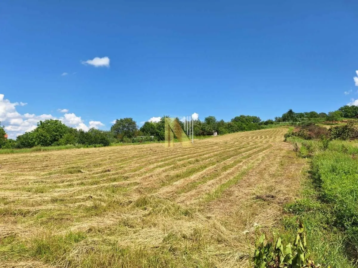 Prodaja, plac, 600m², Alibegovac, Petrovaradin