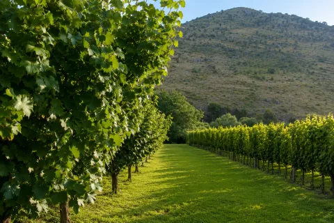 Izdavanje, kuća, 250m², Tološi, Podgorica - image 9