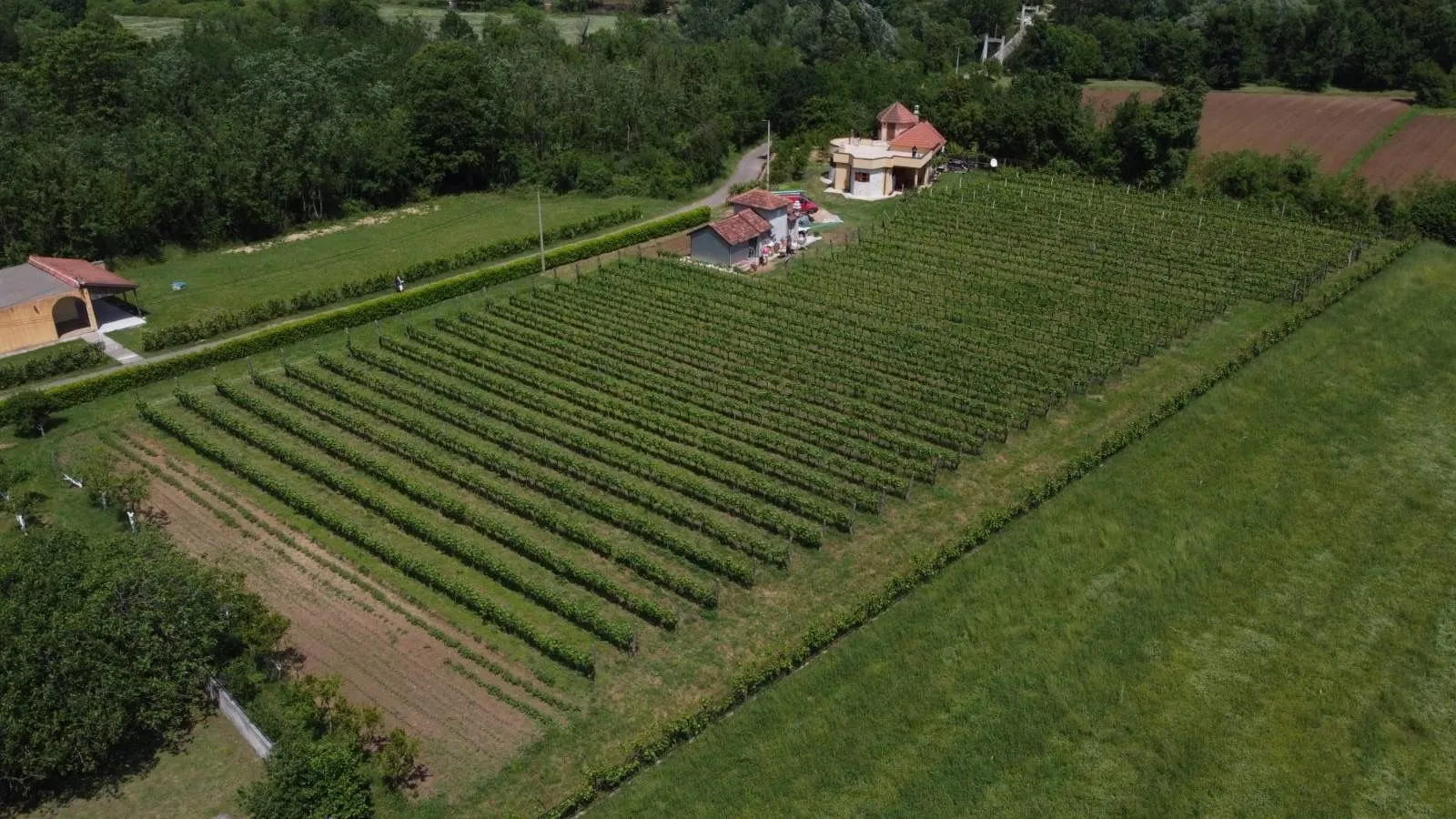 Prodaja, kuća, 260m², Centar, Danilovgrad