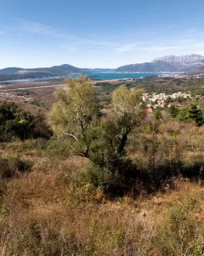 Prodaja, plac, 5520m², Kotor, Crna Gora - image 6