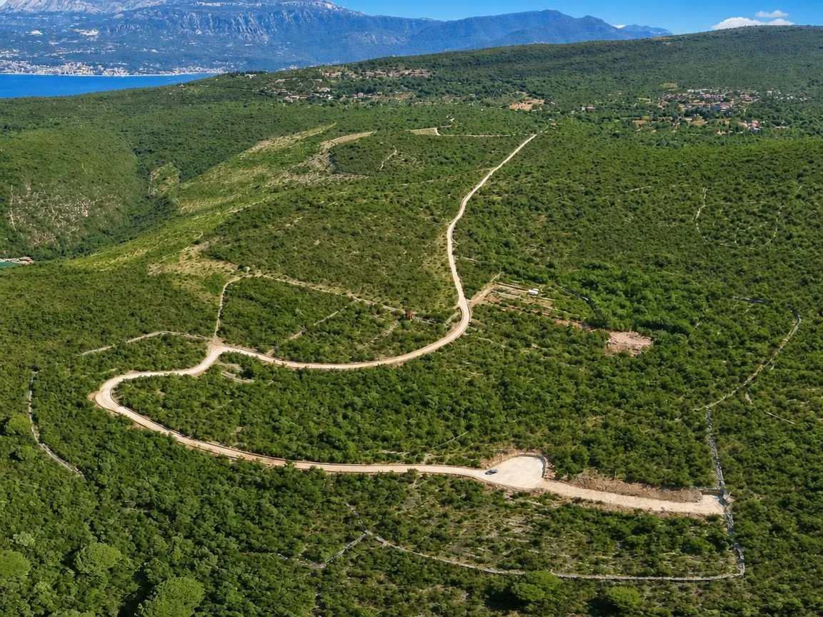 Pogled iz vazduha na zemljište sa pristupnim putem i prirodom u okruženju.