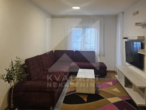 Rent, one bedroom apartment, 43m², Tološka šuma, Podgorica - image 2