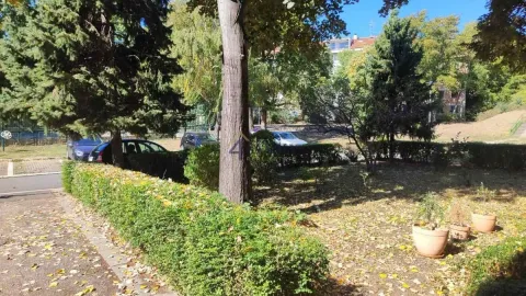 Pogled na zelenu površinu i drveće ispred zgrade. - image 19