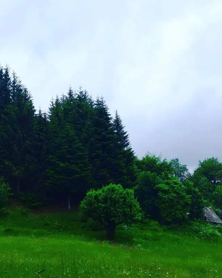 Prodaja, plac, 400000m², Podgorica, Crna Gora