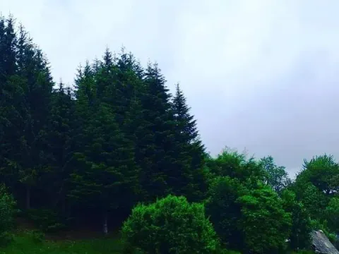 Prodaja, plac, 400000m², Podgorica, Crna Gora - image 10