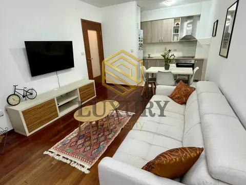 Rent, one bedroom apartment, 44m², Stari Aerodrom, Podgorica - image 11