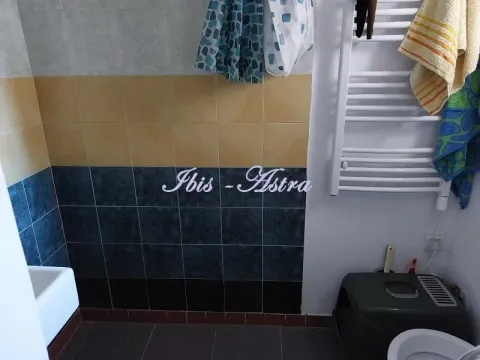 Izdavanje, jednosoban stan, 32m², Cvijićeva, Palilula Sve Podlokacije - image 5