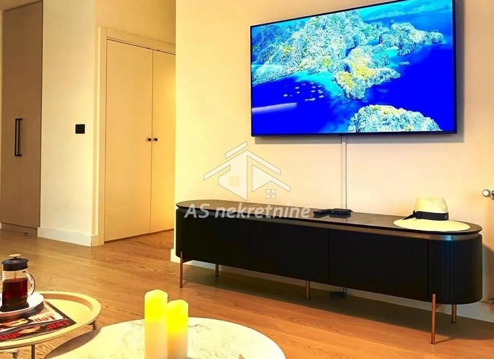 Izdavanje, dvosoban stan, 55m², Savski Venac, Beograd