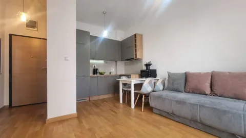 Dnevna soba sa kuhinjom i trpezarijom. - image 3