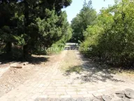 Izdavanje, poslovni prostor, 115m², Irig, Srbija - image 16