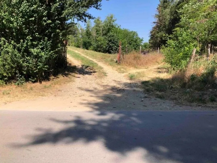 Prodaja, plac, 1300m², Usije, Golubac