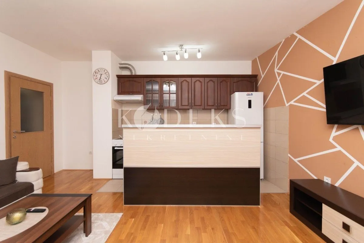 Rent, one bedroom apartment, 47m², Ljubović, Podgorica