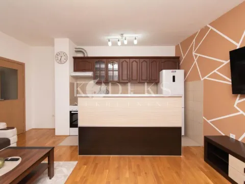 Rent, one bedroom apartment, 47m², Ljubović, Podgorica - image 4