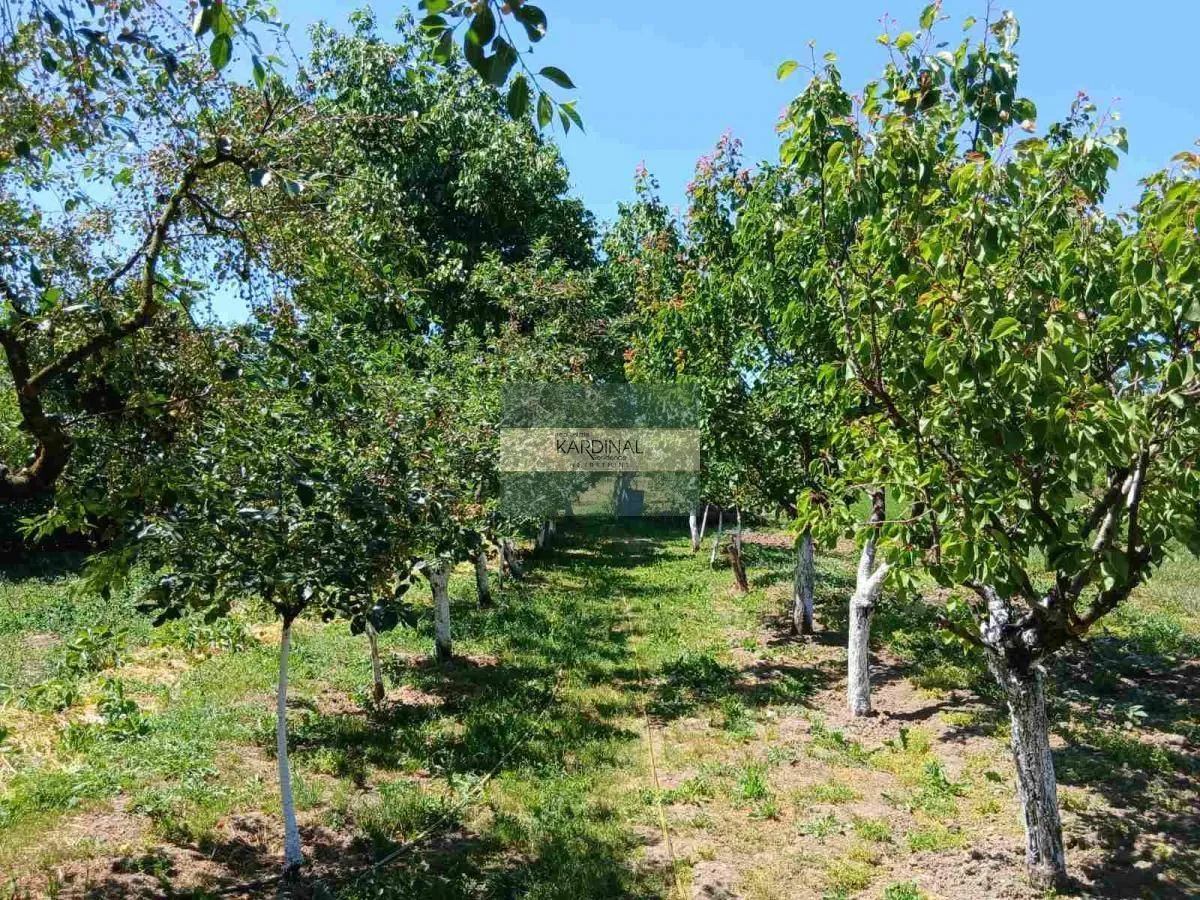 Prodaja, kuća, 65m², Kovačevac, Jagodina