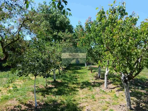 Prodaja, kuća, 65m², Kovačevac, Jagodina - image 26