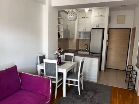 Izdavanje, jednosoban stan, 43m², Zabjelo, Podgorica - image 3