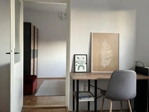 Izdavanje, dvosoban stan, 43m², Detelinara, Novi Sad Sve Podlokacije