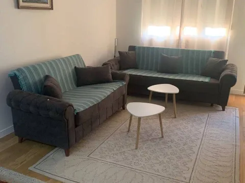 Izdavanje, jednosoban stan, 49m², Central Point, Podgorica - image 13