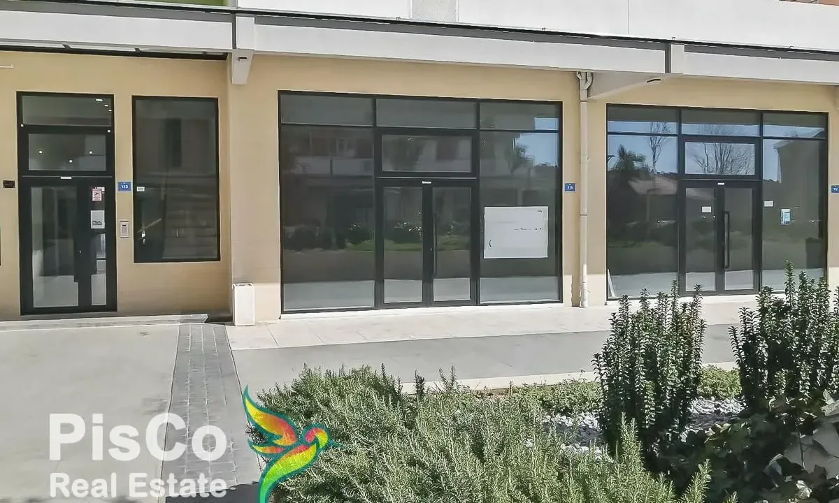 Izdavanje, poslovni prostor, 54m², Central Point, Podgorica