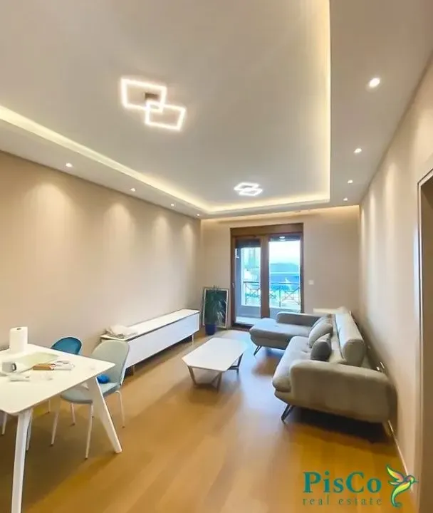 Izdavanje, jednosoban stan, 57m², Centar, Podgorica