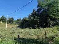 Prodaja, plac, 26500m², Živica, Lučani - image 4