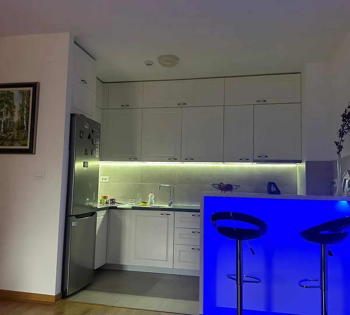 Izdavanje, stan, 65m², Zagorič, Podgorica