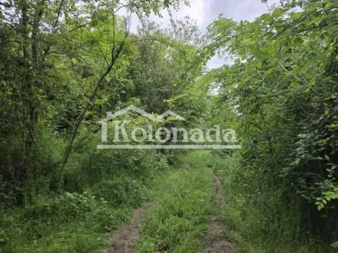 Prodaja, plac, 1789m², Parcani, Sopot - image 2