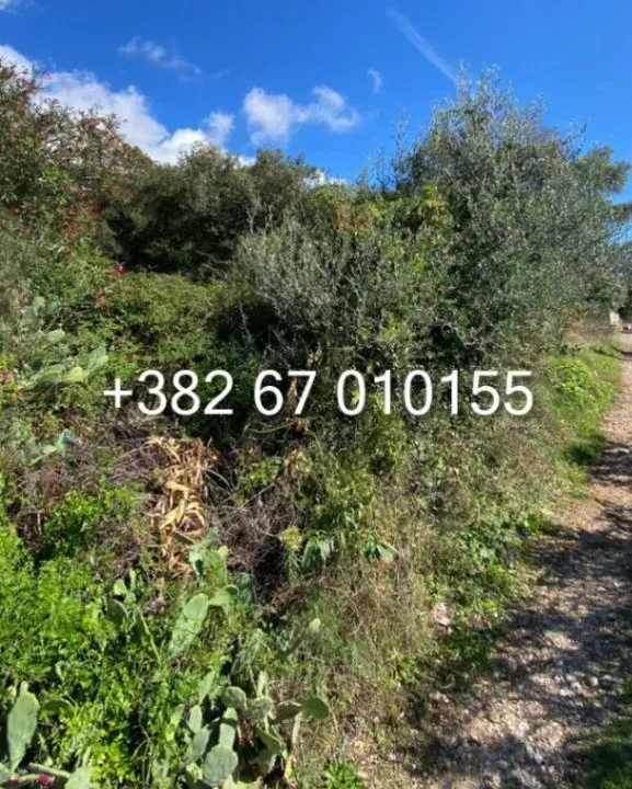 Prodaja, plac, 570m², Dobre Vode, Bar