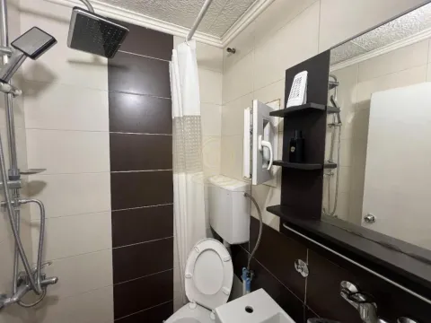 Izdavanje, jednosoban stan, 29m², Vračar Sve Podlokacije, Beograd - image 8