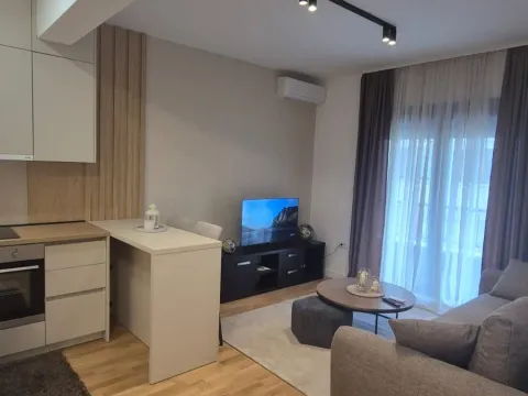 Rent, studio apartment, 26m², Zagorič, Podgorica - image 10