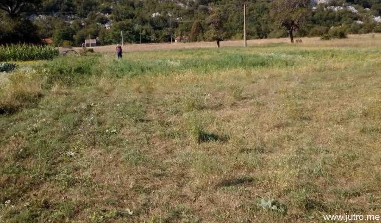 Prodaja, plac, 8500m², Grahovo, Nikšić