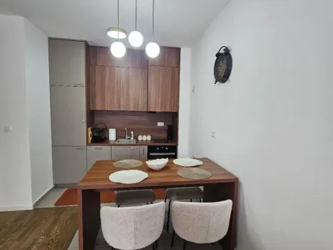 Izdavanje, jednosoban stan, 46m², Centar, Kolašin - image 4