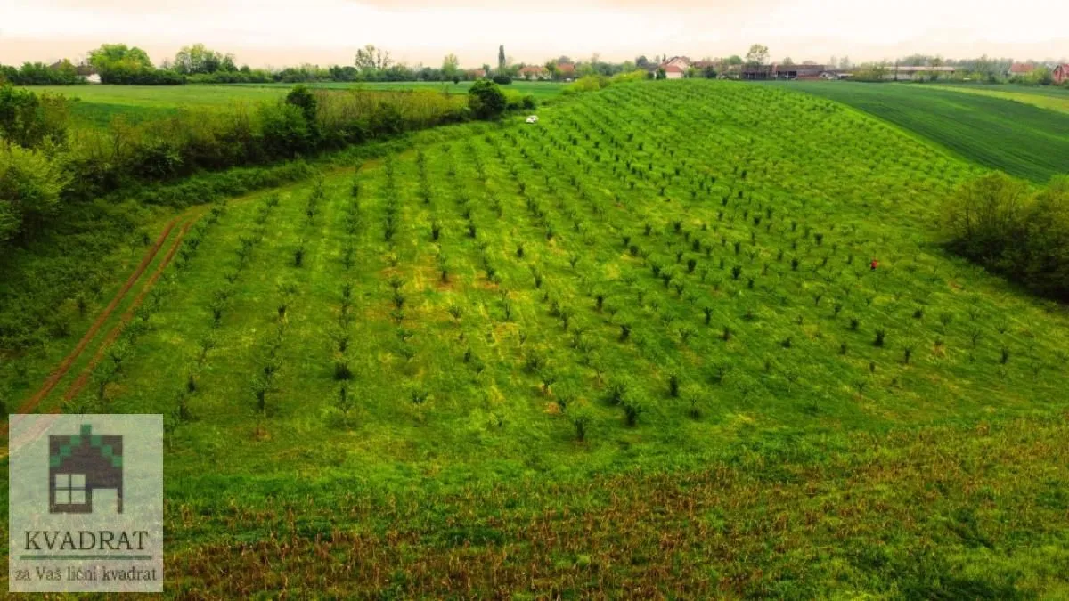 Prodaja, plac, 38000m², Kožuar, Ub