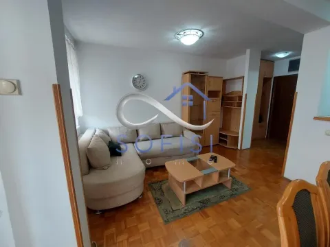 Izdavanje, dvosoban stan, 51m², Detelinara, Novi Sad Sve Podlokacije - image 2