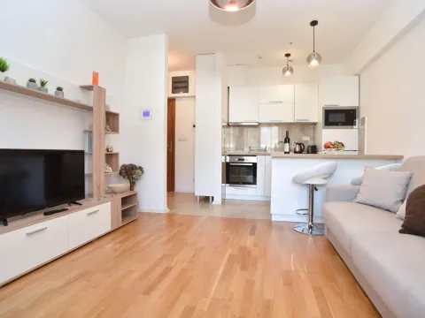 Prodaja, jednosoban stan, 44m², Budva, Crna Gora - image 1