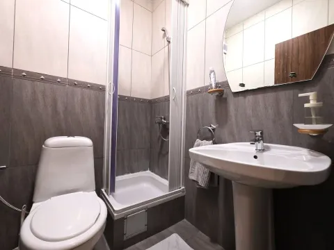 Modernly equipped bathroom with a shower cabin, washbasin, and toilet. - image 8