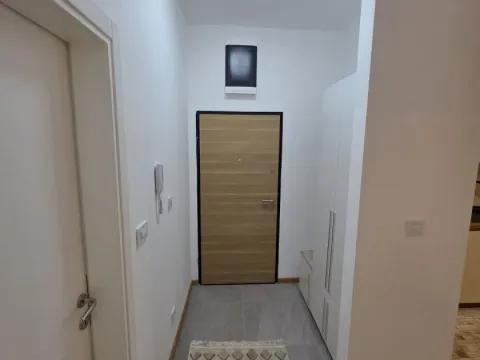 Rent, one bedroom apartment, 50m², Zabjelo, Podgorica - image 4