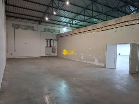 Izdavanje, poslovni prostor, 650m², Altina, Beograd - image 7