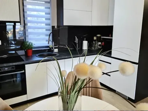 Prodaja, jednosoban stan, 45m², Dubovica, Budva - image 9