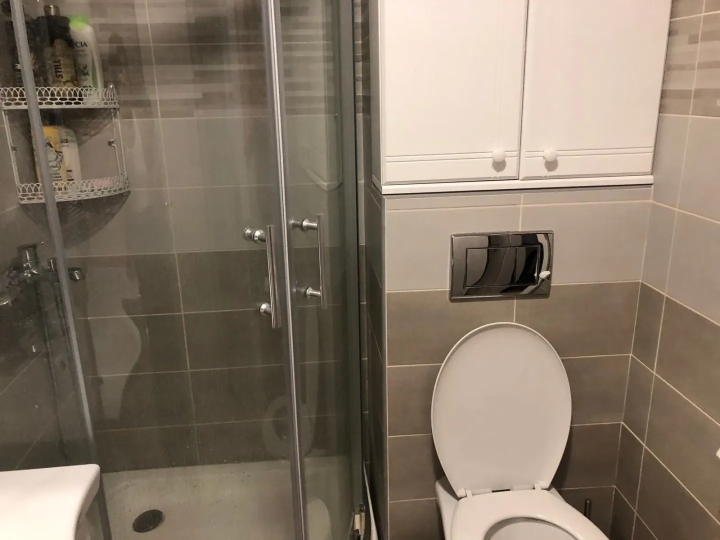 Bathroom with a shower cabin and a toilet.