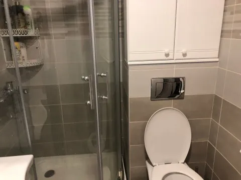 Bathroom with a shower cabin and a toilet. - image 12