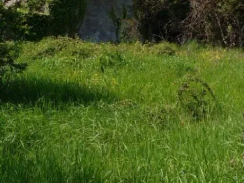 Prodaja, plac, 1550m², Zaljevo, Bar - image 3