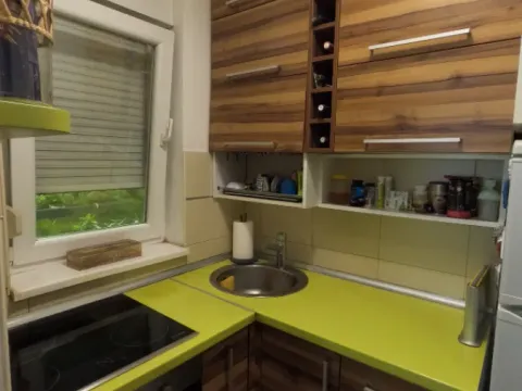 Sale, two bedroom apartment, 45m², Bulevar patrijarha Pavla, Novi Sad Sve Podlokacije - image 11